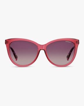 202883 full-rim cat-eye sunglasses