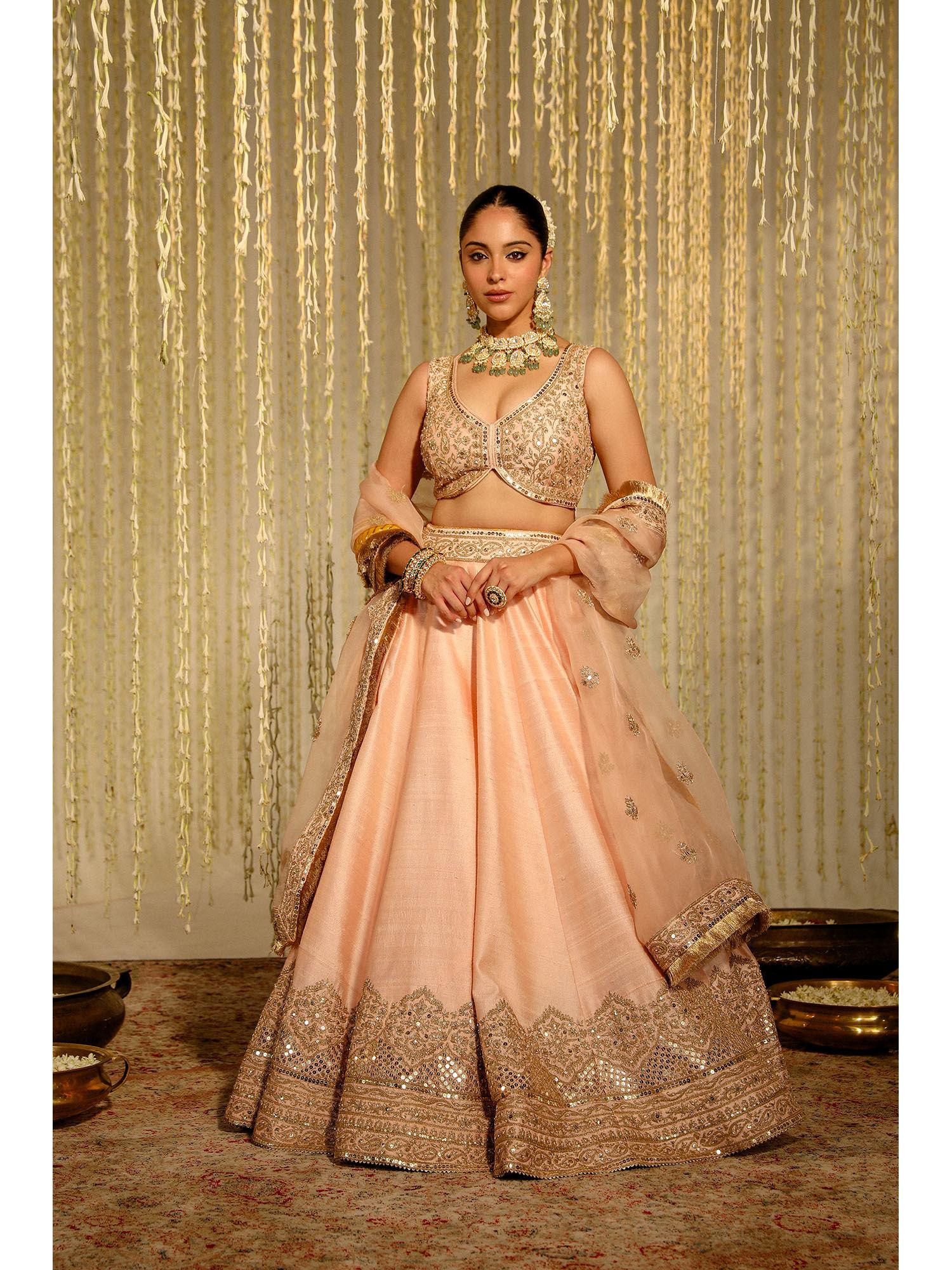 aasiya lehenga & blouse with dupatta-pink (set of 3)