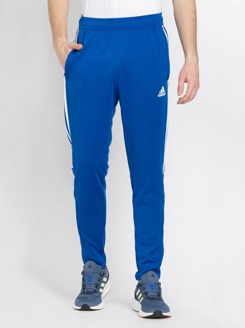 adidas royal blue regular fit striped sports trackpants