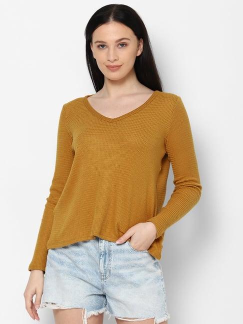 american eagle outfitters brown v neck t-shirt