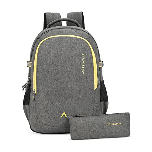 aristocrat solid pattern tiago backpack (h) grey (grey, large)