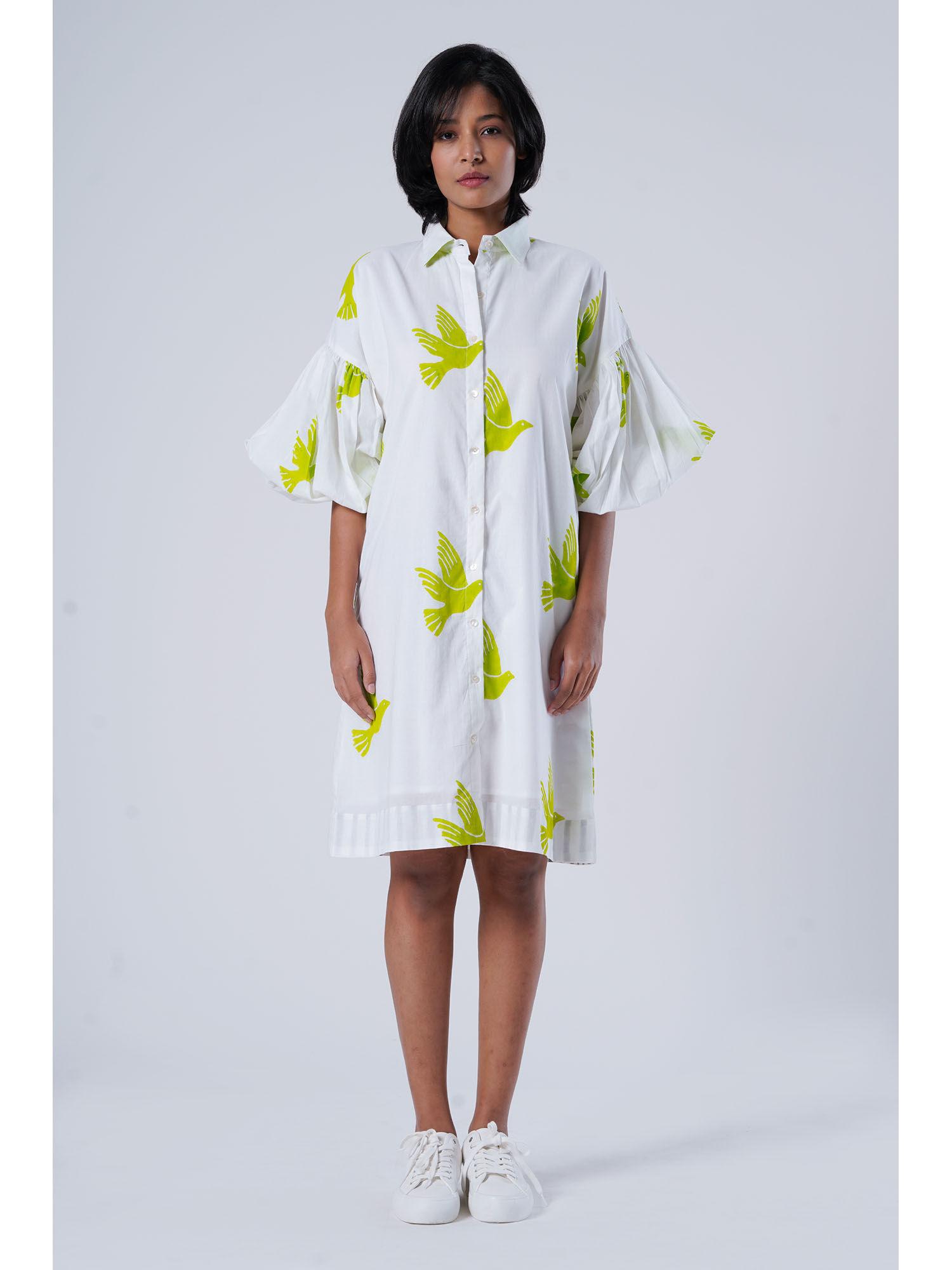 ava knee length dress - green