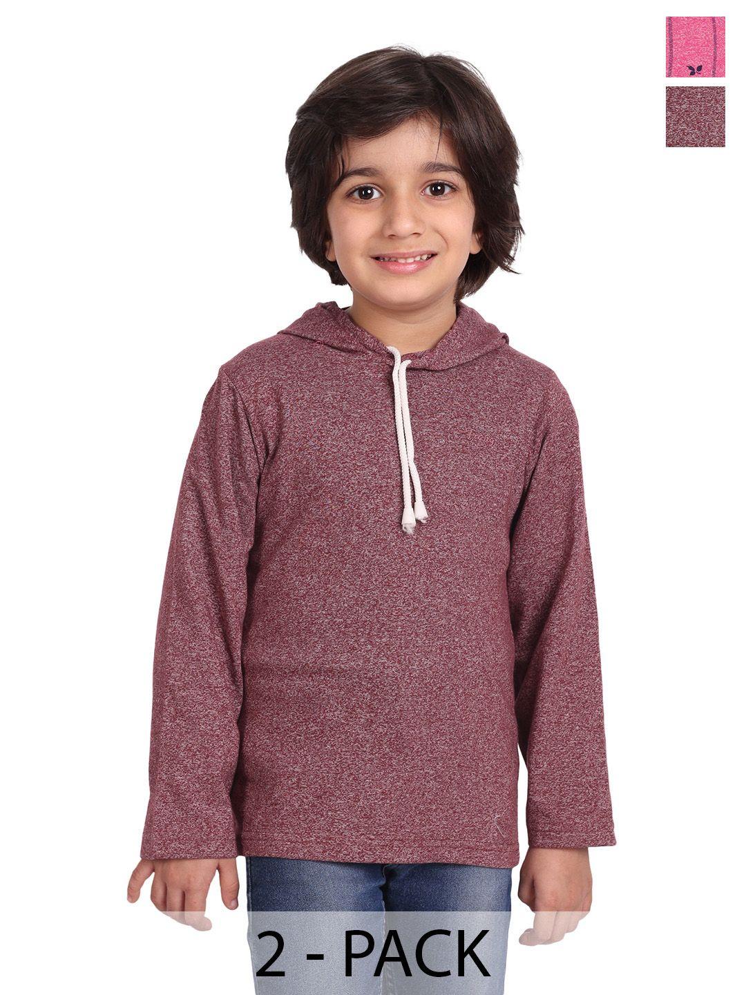baesd boys pack of 2 hooded long sleeves cotton t-shirt