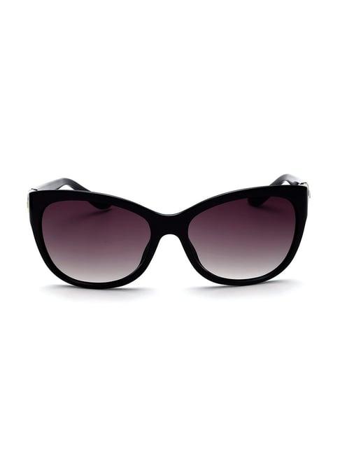 bebe bb3038 brown gradient cat eye sunglasses