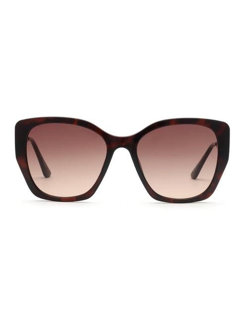 bebe brown cat eye sunglasses for women