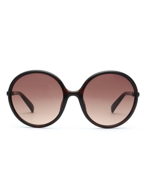 bebe brown round sunglasses for women