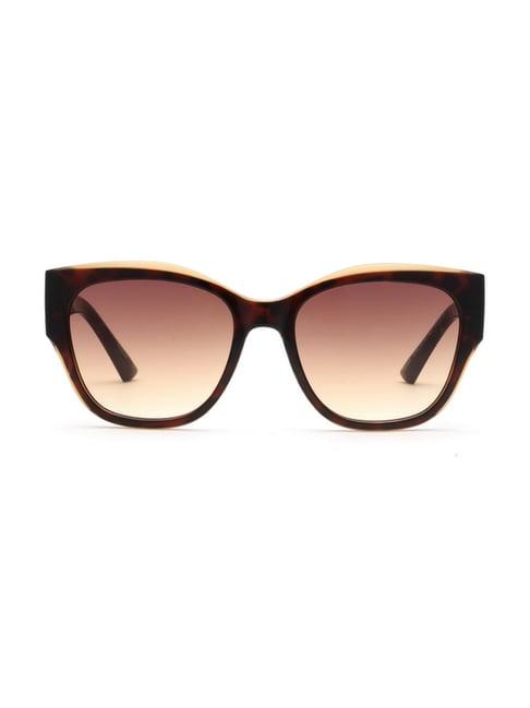 bebe brown round sunglasses for women