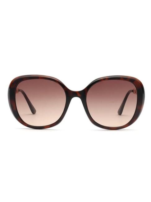 bebe brown round sunglasses for women