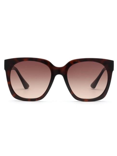 bebe brown square sunglasses for women