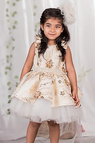 beige & ivory net embroidered dress for girls