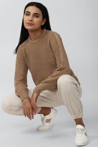 beige woven casual full sleeves round neck women regular fit sweater