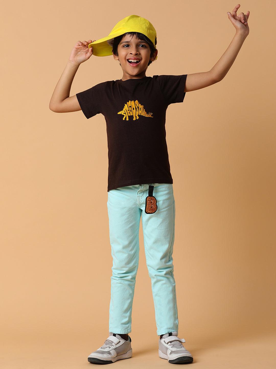 boys-brown-embroidery-cotton-t-shirt