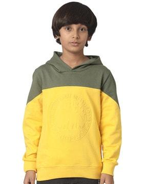 boys colorblock regular fit hoodie