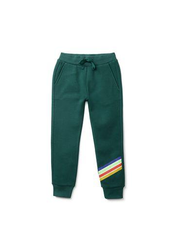 boys green solid joggers