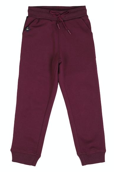 boys maroon regular fit graphic print track pants