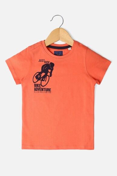 boys orange regular fit graphic print crew neck t-shirt