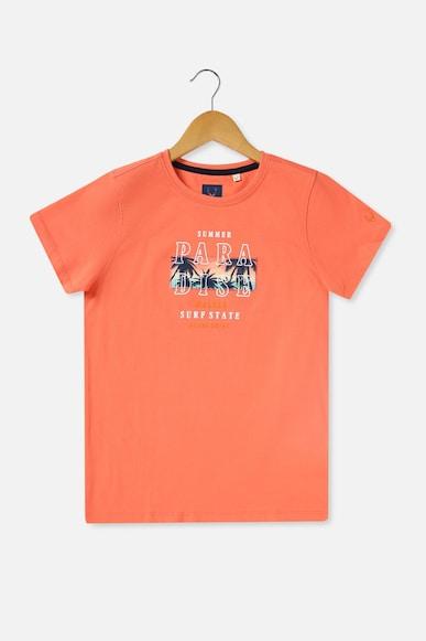 boys orange regular fit graphic print crew neck t-shirt