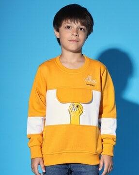 boys printed regular fit sweatshirt