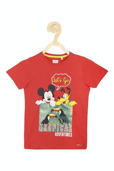 boys red regular fit graphic print crew neck t-shirt