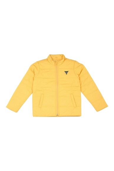 boys yellow solid regular fit jacket