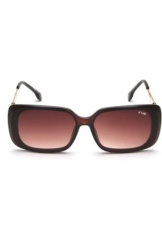 brown gradient sunglasses