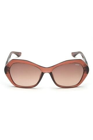 brown gradient sunglasses