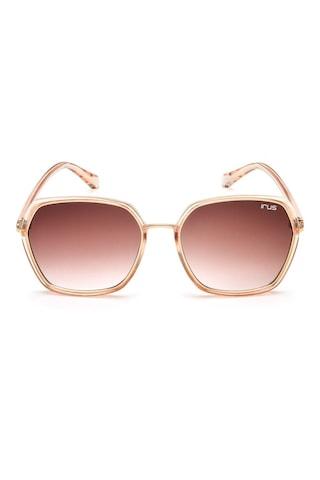 brown gradient sunglasses