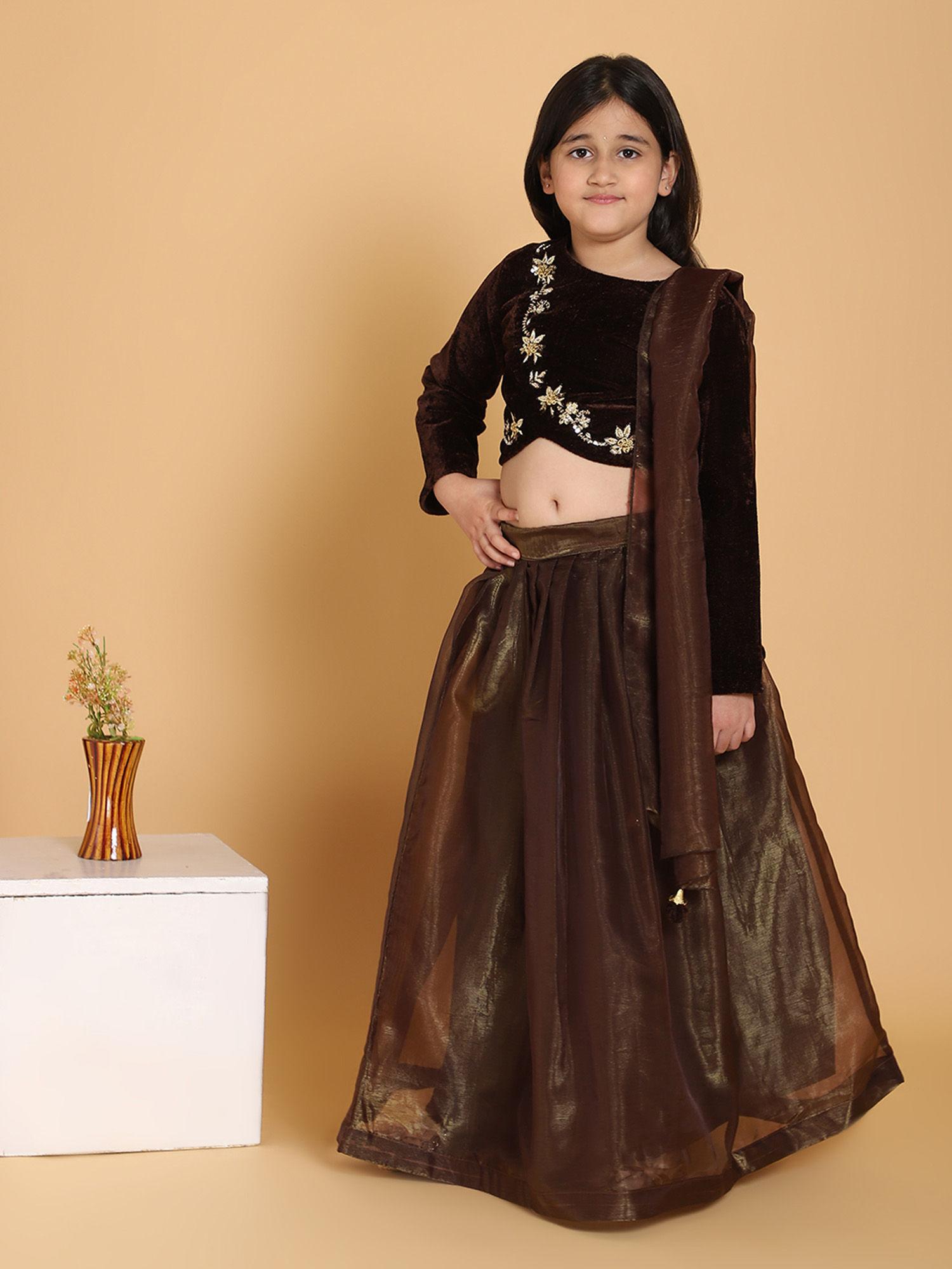 brown velvet handwork choli and lehenga with dupatta (set of 3)