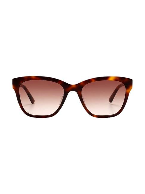 calvin klein brown square sunglasses for women