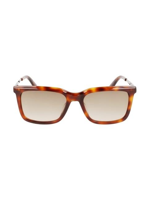 calvin klein ck22517 brown square sunglasses