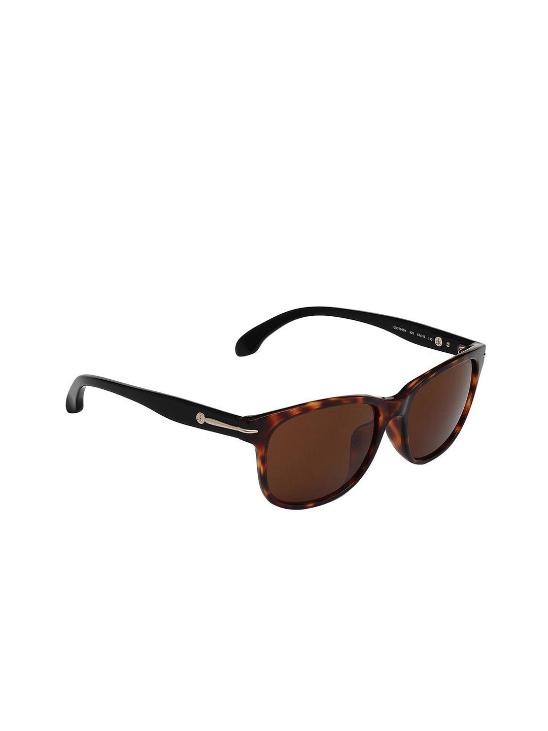 calvin klein unisex brown lens & brown square sunglasses with uv protected lens