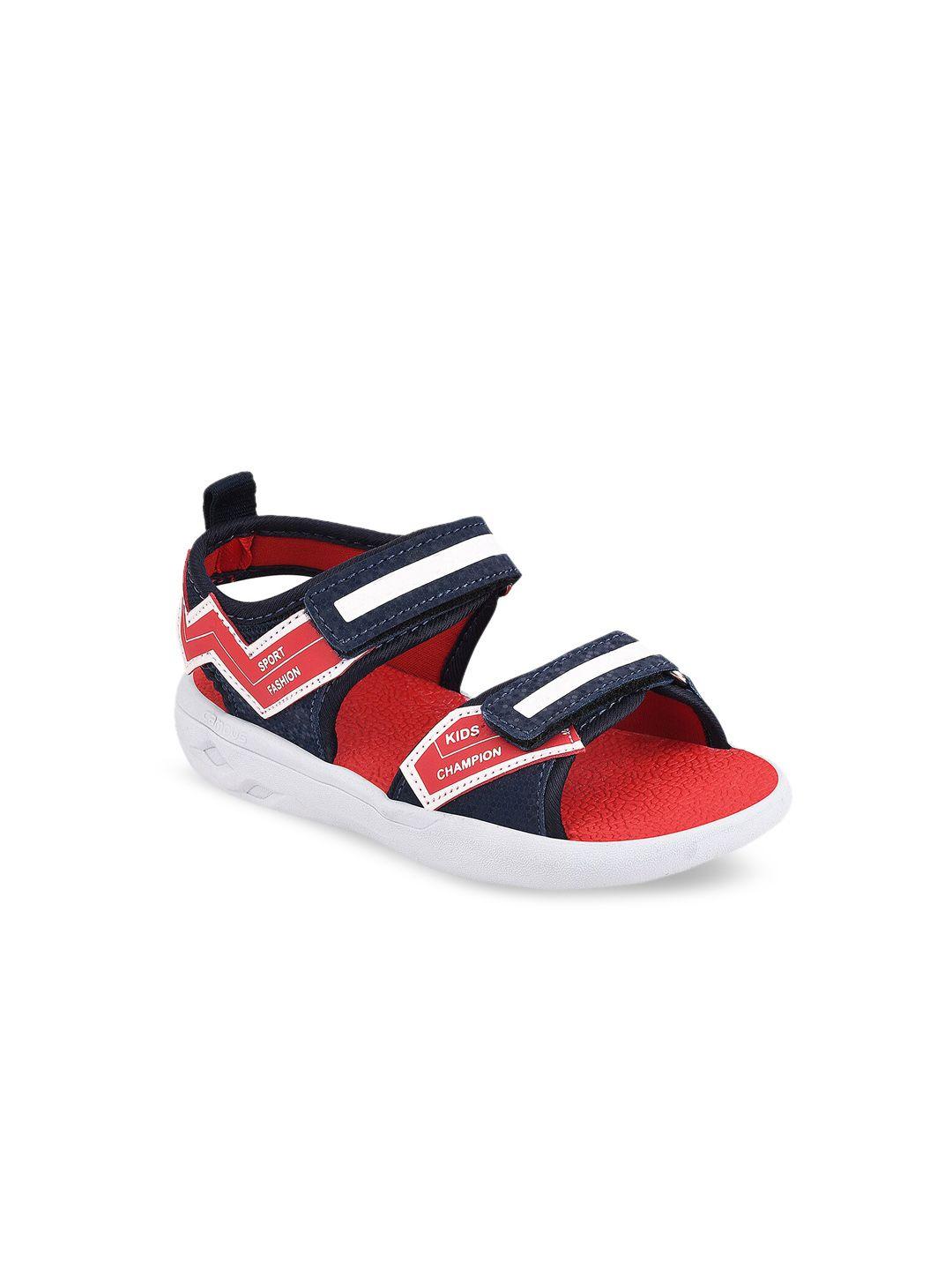 campus kids navy blue & red solid sports sandals