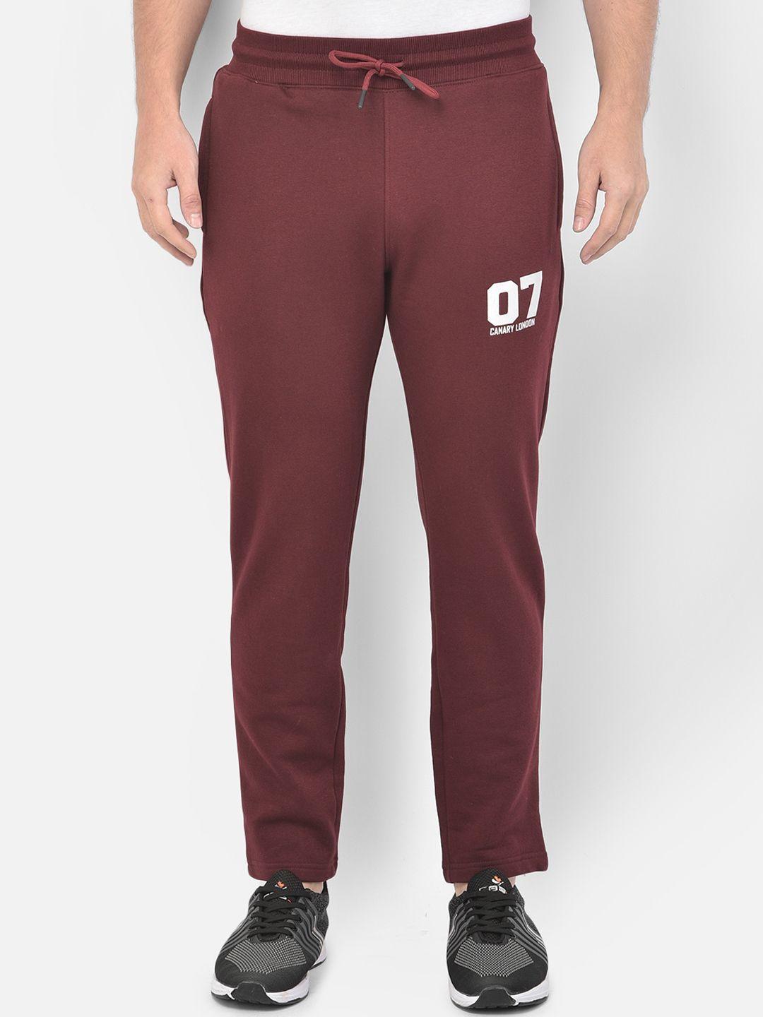canary london men burgundy solid pure cotton straight fit track pants