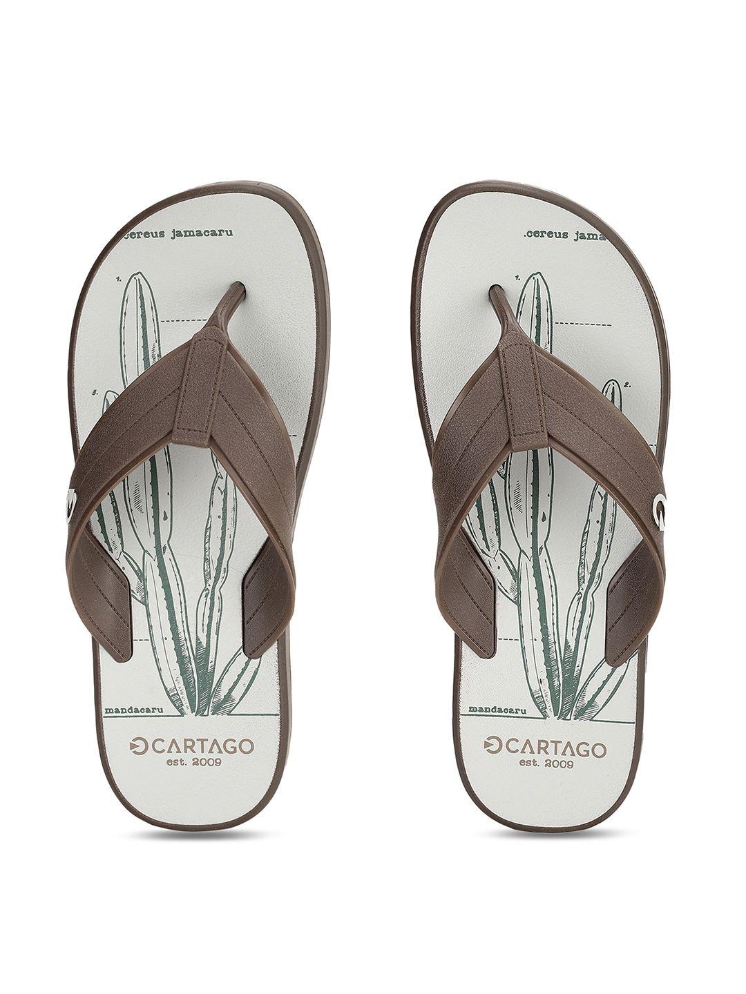 cartago men brown & off white thong flip-flops