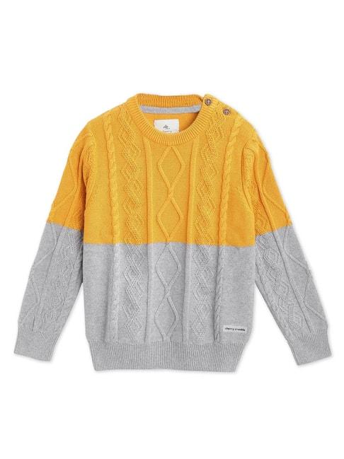 cherry crumble by nitt hyman kids mustard & grey self design sweater