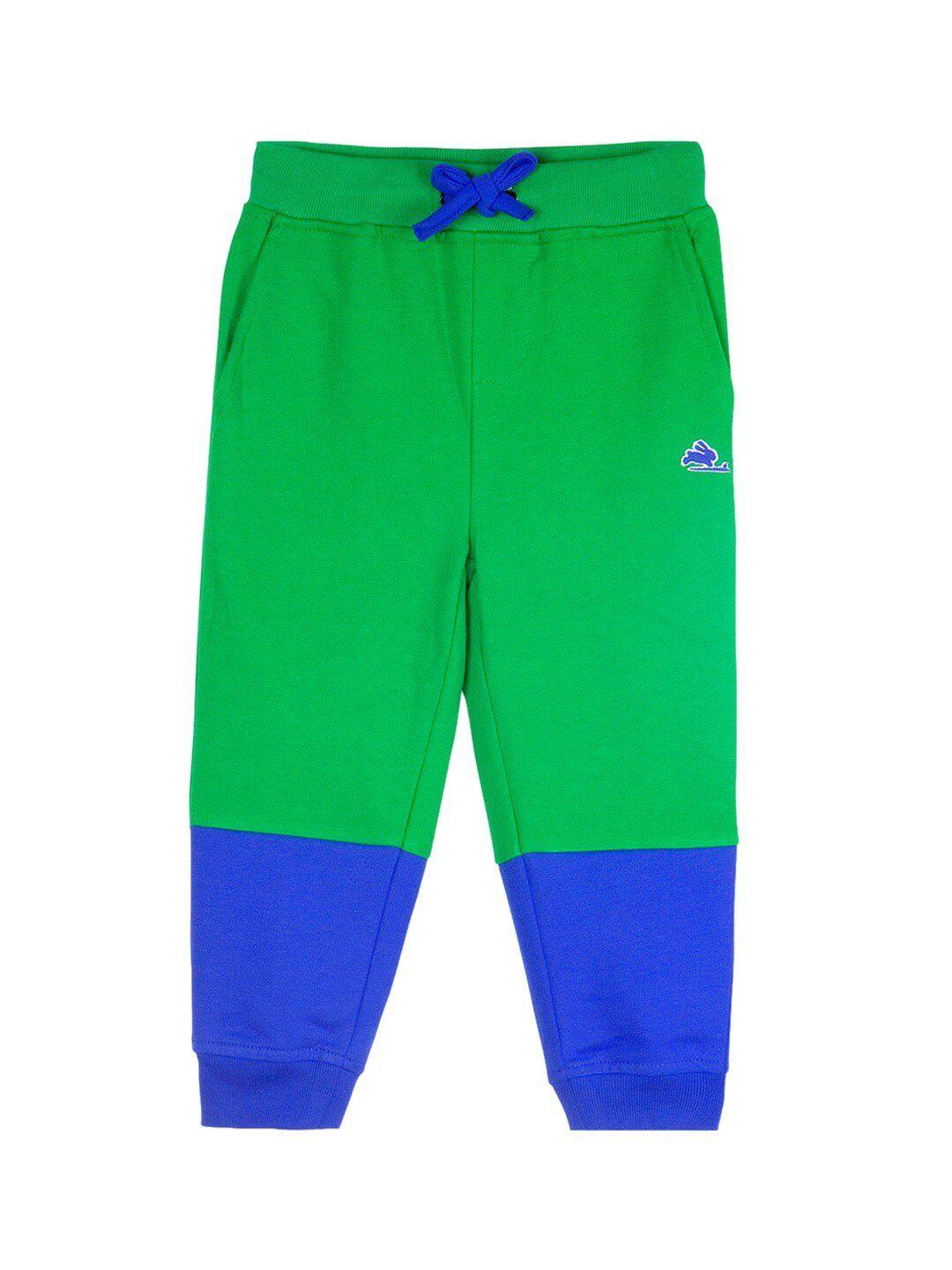 cherry crumble kids green & blue colourblocked track pants