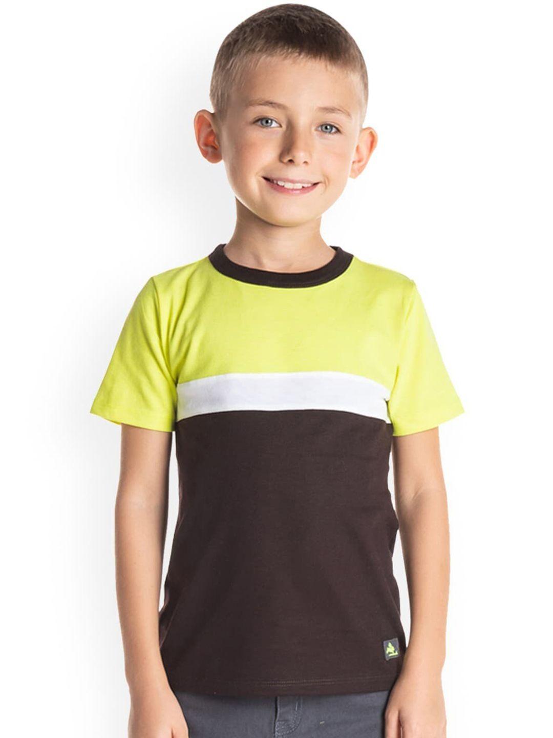 cherry crumble boys brown & lime green colourblocked cotton t-shirt