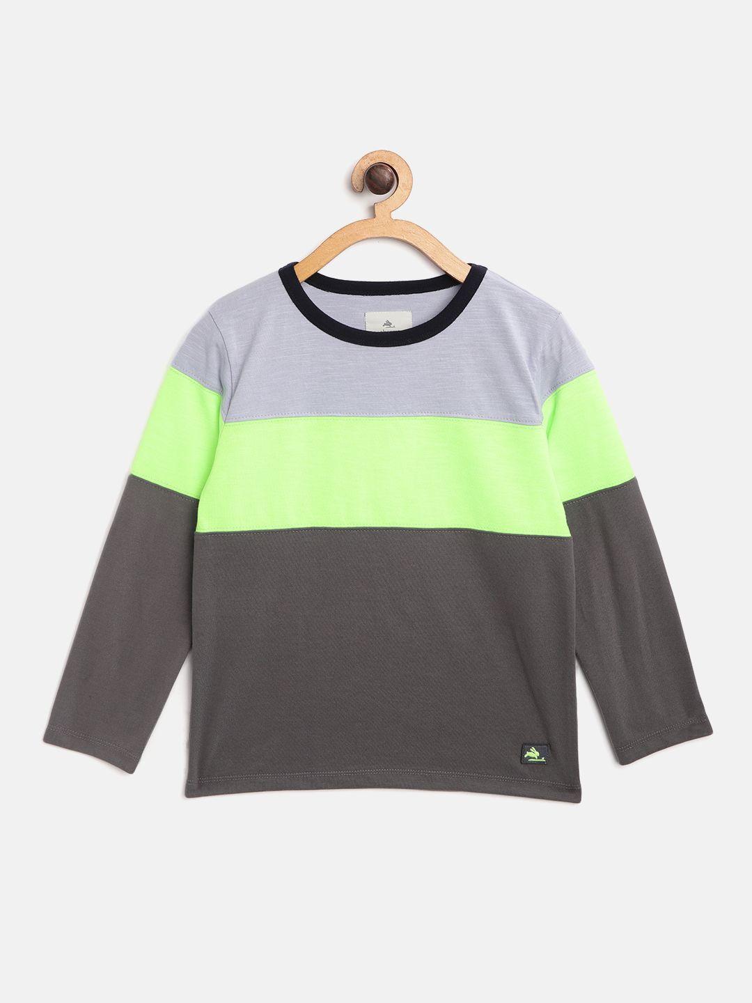 cherry crumble boys olive green & lavender colourblocked round neck t-shirt