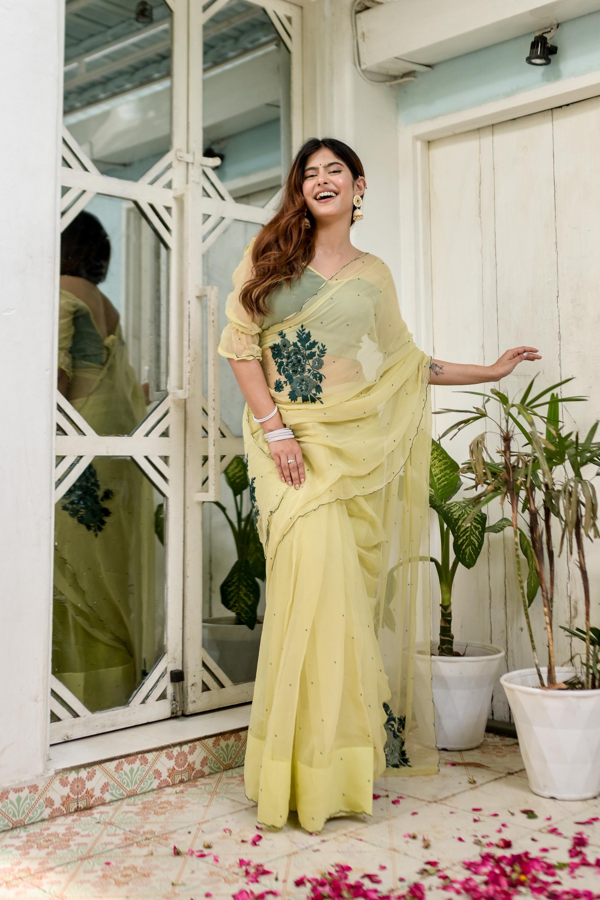 chic charisma (hand embroidered chiffon saree)