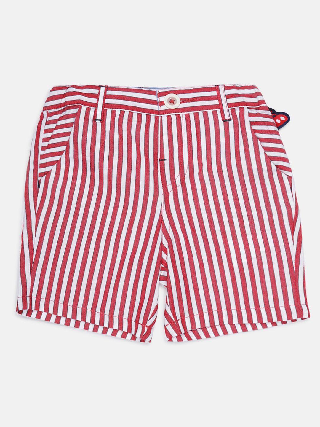 chicco boys red & white striped regular fit regular shorts