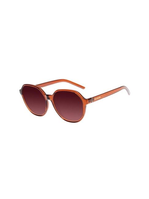 chilli beans maroon round uv protection unisex sunglasses