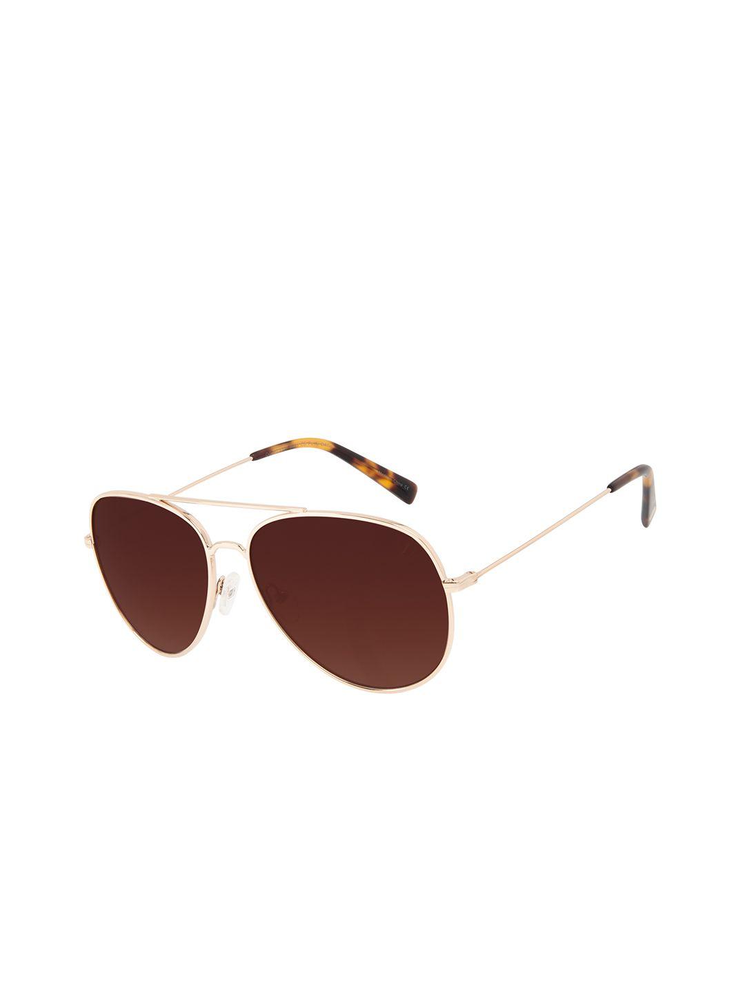 chilli beans unisex bronze lens & gold-toned aviator sunglasses with uv protected lens