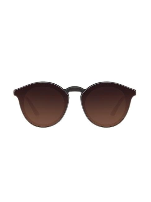 chilli beans occl32355702 brown oval sunglasses