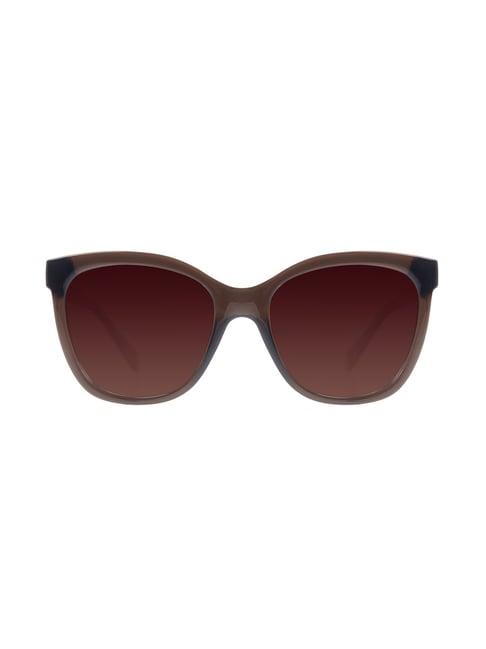 chilli beans occl32385702 brown square sunglasses