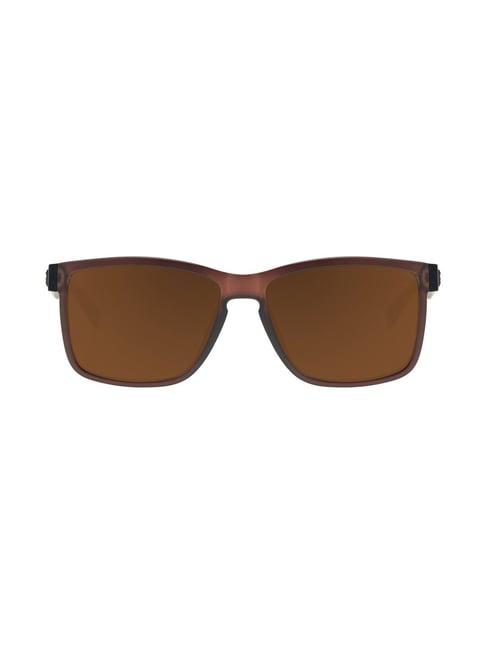 chilli beans occl32470202 brown square sunglasses