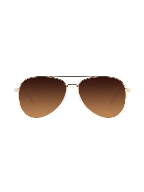 chilli beans ocmt30445795 brown aviator