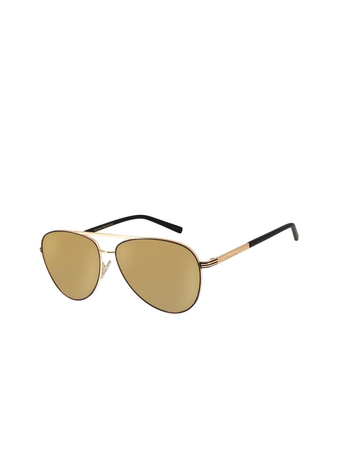 chilli beans unisex brown lens & gold-toned aviator sunglasses with uv protected lens