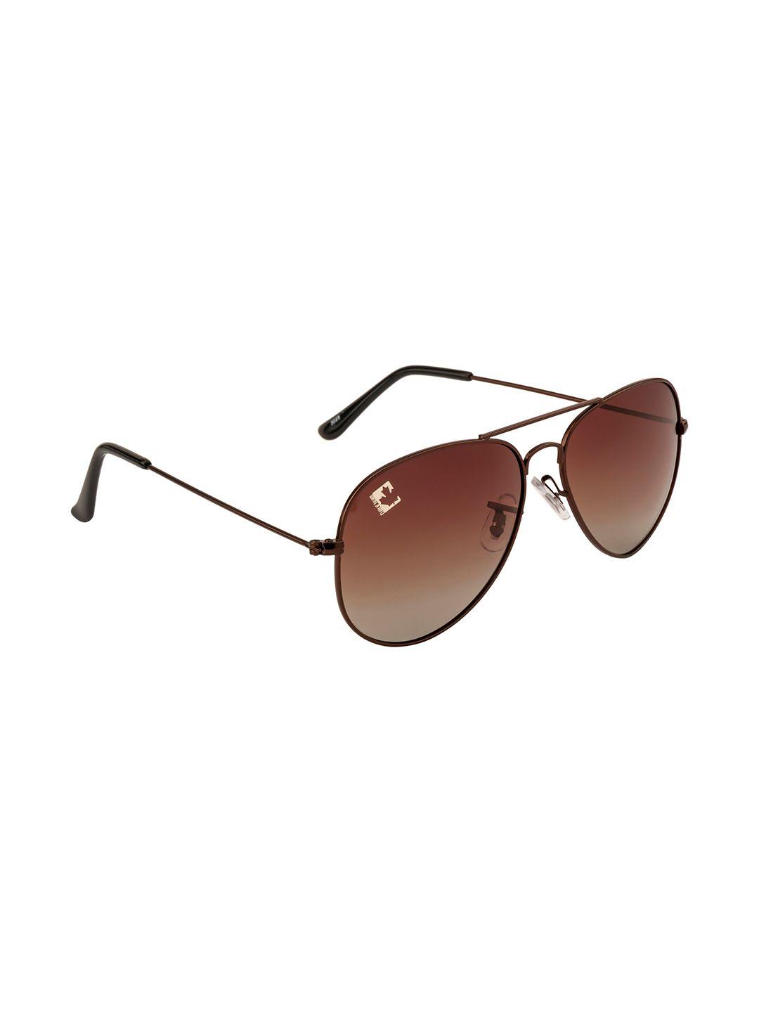 clark n palmer unisex brown lens & brown aviator sunglasses with polarised and uv protected lens
