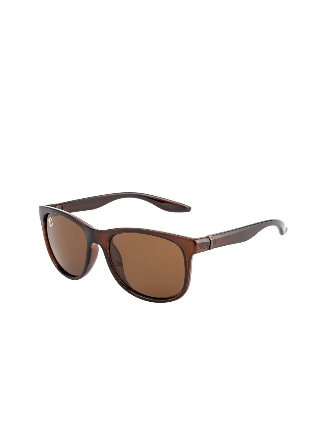 clark n palmer unisex brown lens & brown wayfarer sunglasses with polarised and uv protected lens