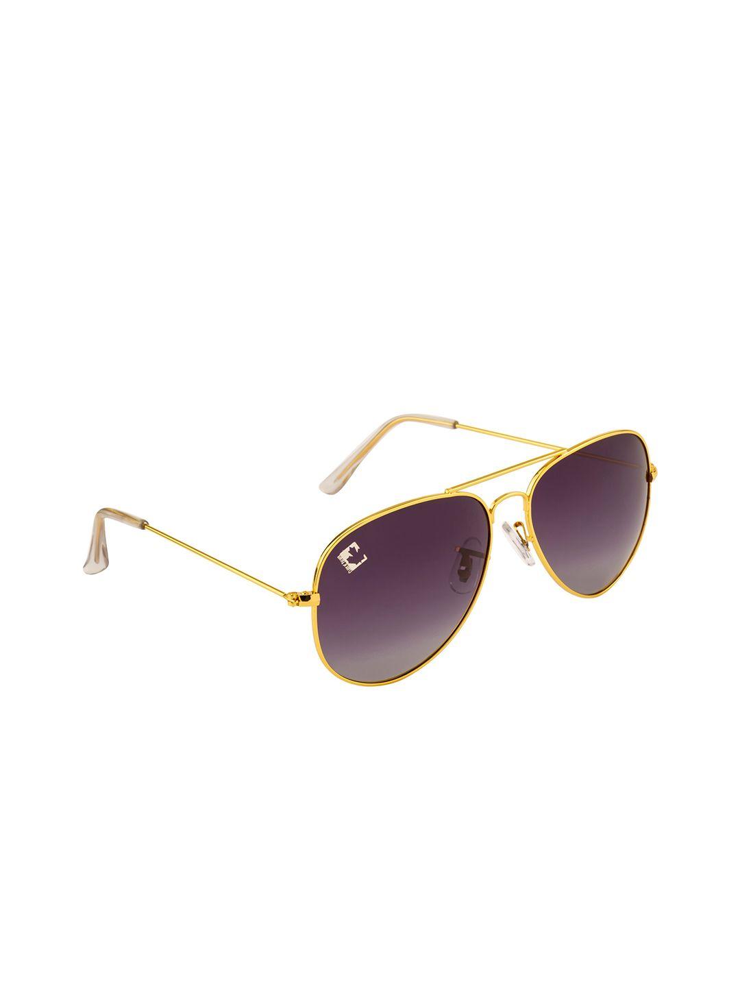 clark n palmer unisex grey lens & gold-toned aviator sunglasses with polarised and uv protected lens